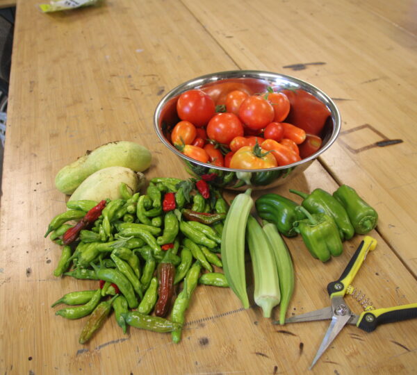Ready Grow Garden