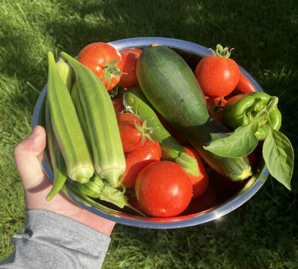 Ready Grow Garden