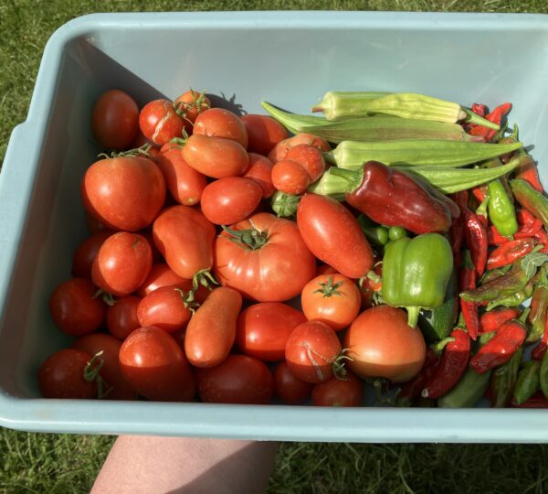 Ready Grow Garden