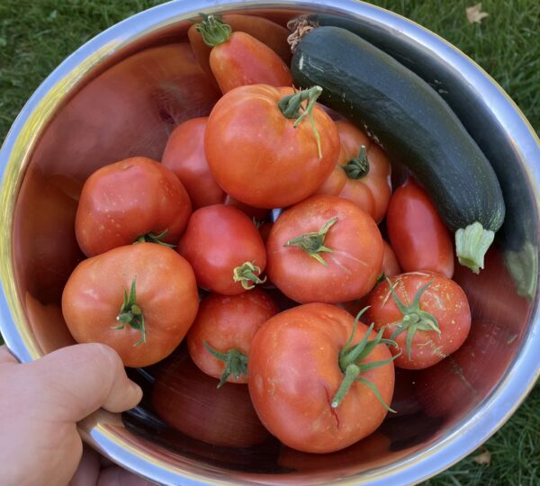 Ready Grow Garden