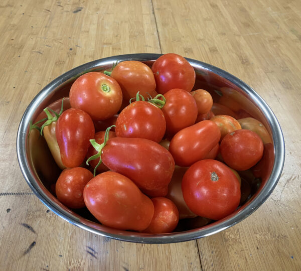 Ready Grow Garden